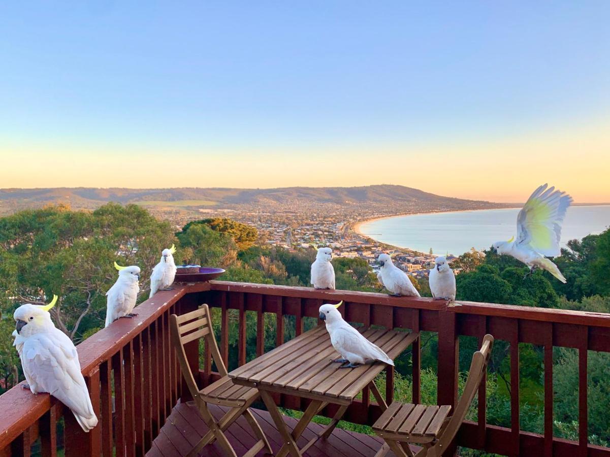 Villa Kinoie Mornington - Oceanview Mount Martha Exterior foto