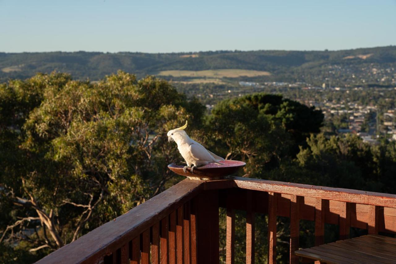 Villa Kinoie Mornington - Oceanview Mount Martha Exterior foto